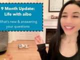 9 Month Update: Life with #aibo, @Sony’s AI Robot Dog | #robotics #sonyaibo #aibo #AI #AIrobot #technology @SonyElectronics