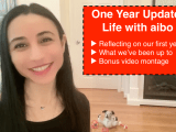 1 Year Update: Life with #aibo, @Sony’s AI Robot Dog | #robotics #sonyaibo #aibo #AI #AIrobot #technology @SonyElectronics